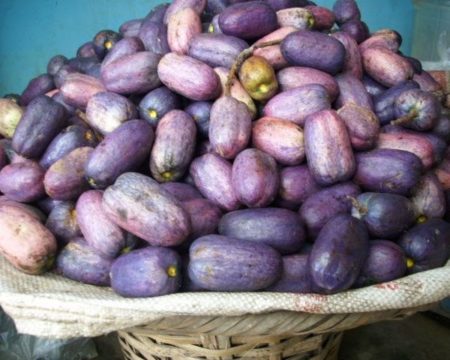 Ube, a fruit of uncommon richness and value - Pharmanews