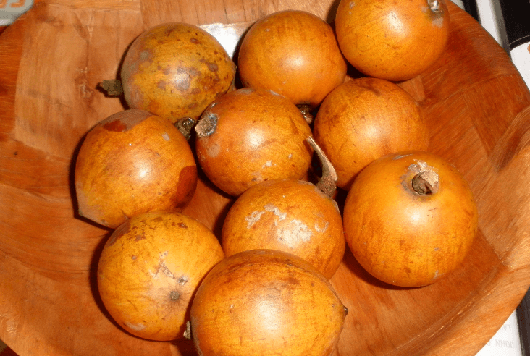 African Star Apple (Agbalumo)