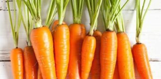Health and economic benefits of carrot