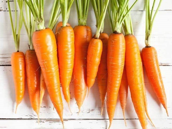 Health and economic benefits of carrot