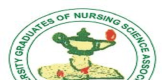 Minimum Wage: Nurses Call for Compromise between FG and Organised Labour