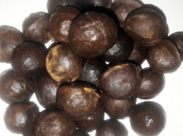 How Walnut Lowers Cholesterol Level, Boosts Fertility