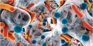 Combination of Antibiotics May Promote Resistance, Study Finds