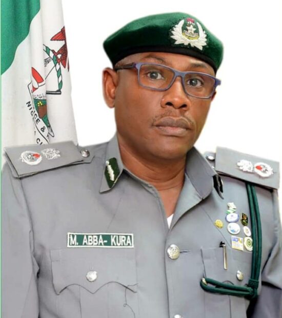 Apapa Customs Command Seizes 133 Containers of Fake Drugs in 2020