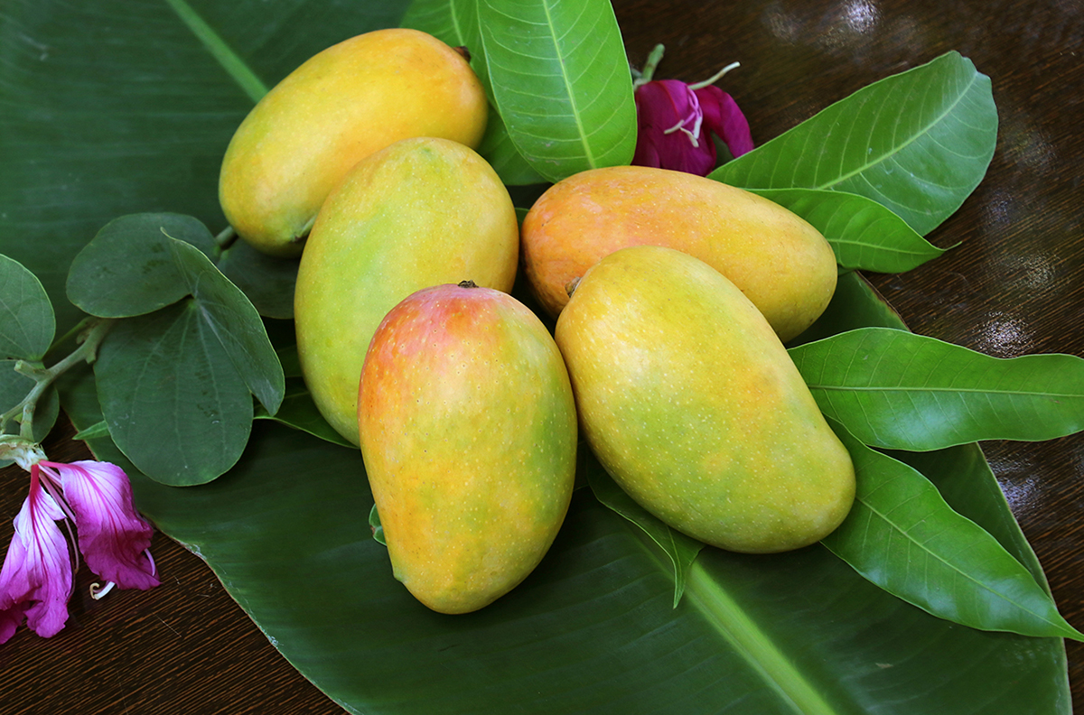 Discover 10 Amazing Mango Benefits You Can't Resist