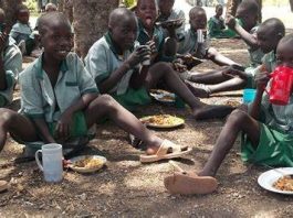 Only Parents with Good Income Can Feed their Children Well, Nutritionist Laments