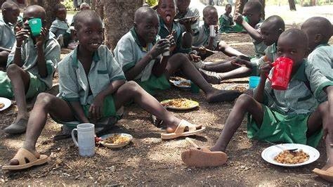 Only Parents with Good Income Can Feed their Children Well, Nutritionist Laments