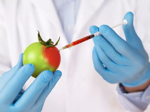 ‘Scientists Researching Safety of Genetically Modified Foods’