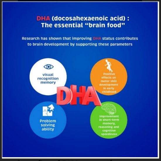 DHA: The Essential Brain Food
