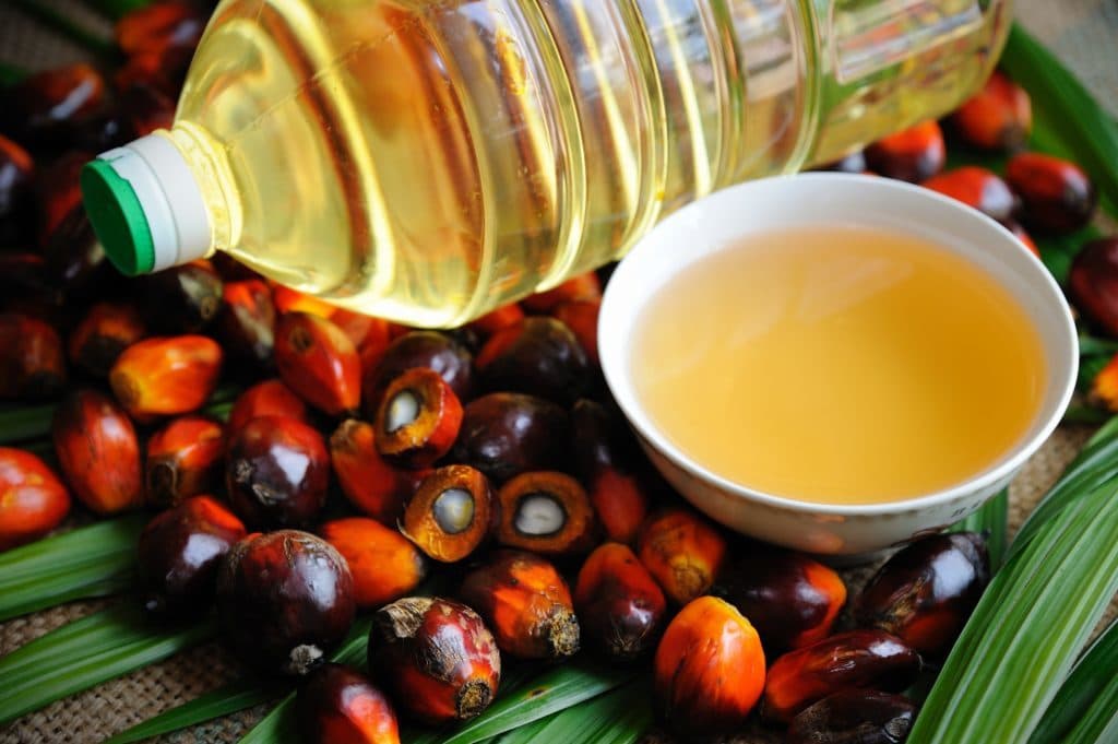 palm-kernel-oil-remedy-to-convulsion-in-fct-community-residents