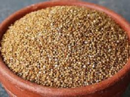 Millet, healthy ancient grains
