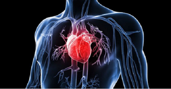 Prevalence of Heart Related Diseases in Nigeria
