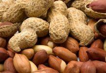 Adding Peanuts to Young Children’s Diet Can Help Prevent Allergy –Study