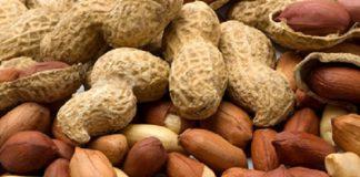 Adding Peanuts to Young Children’s Diet Can Help Prevent Allergy –Study