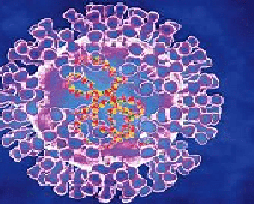 WHO to Rename Monkeypox, Publishes Guideline on Vaccination