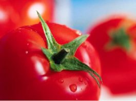 Studies Validate Tomato Substances Reduce Prostate Cancer Risk