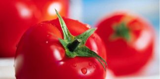 Studies Validate Tomato Substances Reduce Prostate Cancer Risk