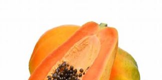 5 Essential Facts about Pawpaw