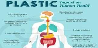 How Plastic Waste Recycling Promises to Curb Cancer, Infertility, Others
