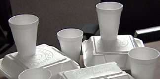 Styrofoam not good for human health, environment –Experts