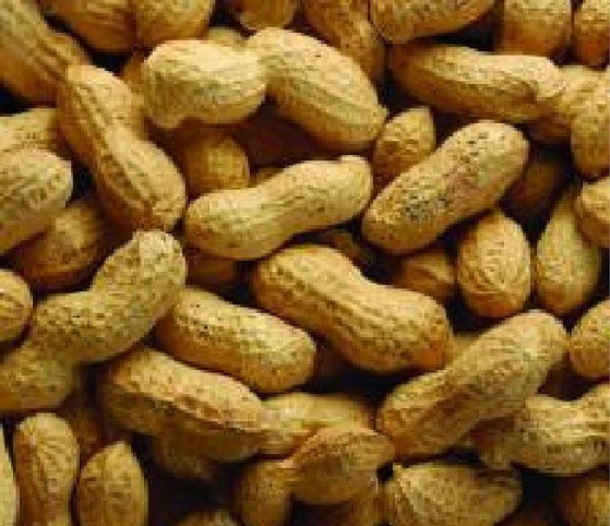 eating-groundnut-doesn-t-cause-pimples-study-affirms