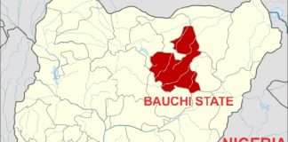 Bauchi records 16 Lassa fever deaths, 130 cases