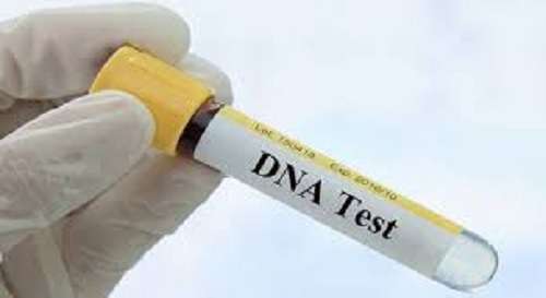 DNA Relationship Testing: 74% of Tested Men in Nigeria are Biological Father